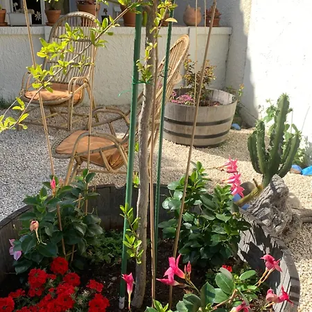 Superieur Sur L 'etang Guest house